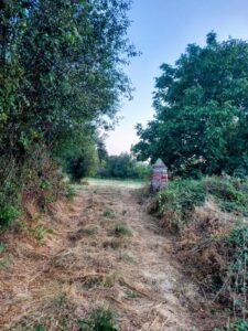 Finca rústica en Puerto Castilla (Ávila)