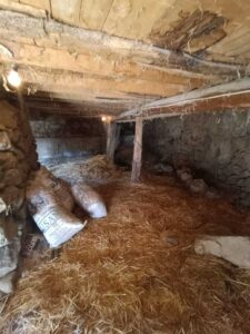 3 construcciones y amplios huertos en Tórtoles