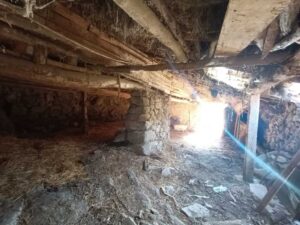 3 construcciones y amplios huertos en Tórtoles