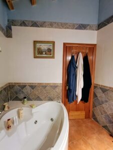 Casa rural con 5 dormitorios en Bohoyo