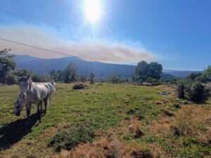 Casa de pueblo para reformar con amplio terreno y vistas a la Sierra de Gredos en Navalonguilla