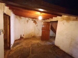 3 construcciones y amplios huertos en Tórtoles