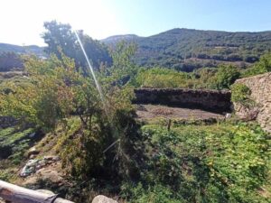 Solar urbano en La Angostura