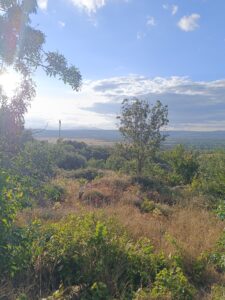 Terreno urbano en Sanchotello (Salamanca)