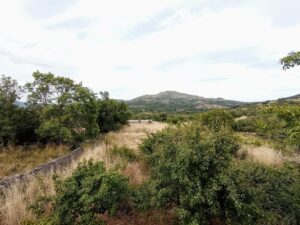 Finca con vivienda y piscina en Sanchotello