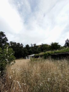 Finca con vivienda y piscina en Sanchotello