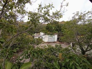 Finca con vivienda y piscina en Sanchotello