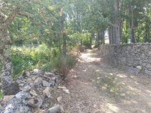 Terreno urbano en La Retuerta-Umbrías