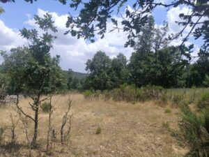 Terreno urbano en La Retuerta-Umbrías