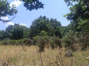 Terreno urbano en La Retuerta-Umbrías
