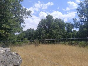 Terreno urbano en La Retuerta-Umbrías