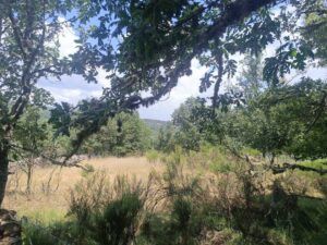 Terreno urbano en La Retuerta-Umbrías