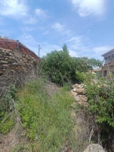 Terreno urbano en El Tejado (Salamanca)