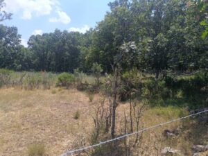 Terreno urbano en La Retuerta-Umbrías