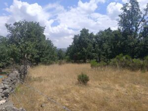 Terreno urbano en La Retuerta-Umbrías